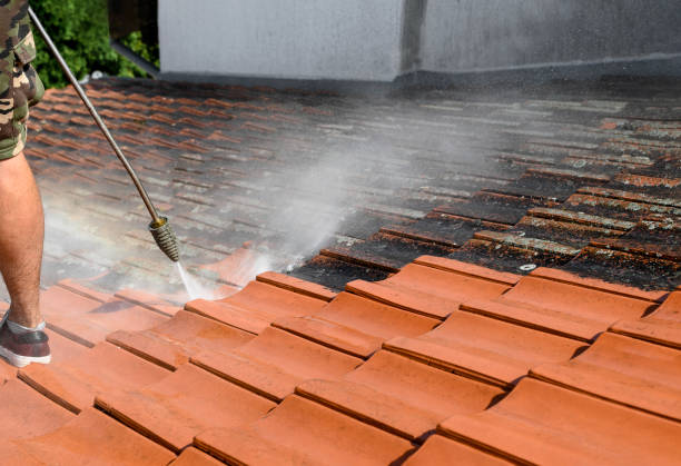 Best Pressure Washing Contractors  in Hartley, IA