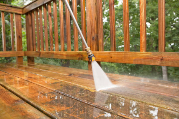 Best Roof Pressure Washing  in Hartley, IA
